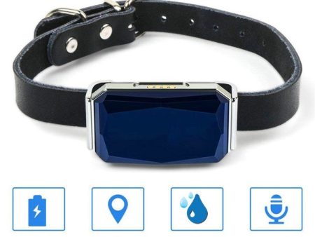 G12 Pet Collar IP67 Waterproof GPS Dog Tracker GSM AGPS WiFi LBS Cat Sheep Pet Tracking Locator Online Hot Sale