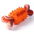 Natural Rubber Dog Toys Bone-Shaped Nylon Dog Teething Toys Treat Dispensing Dog Chewing Toy Sale